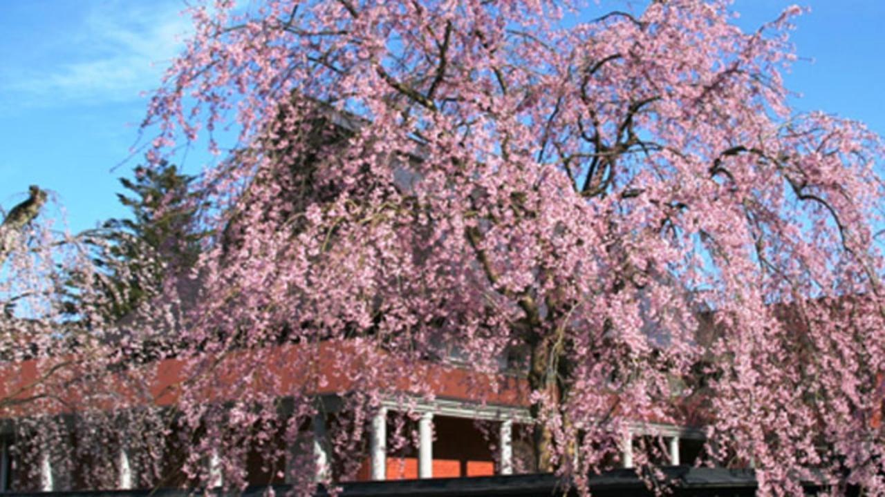 Kyukamura Nyuto-Onsenkyo Semboku Exterior foto